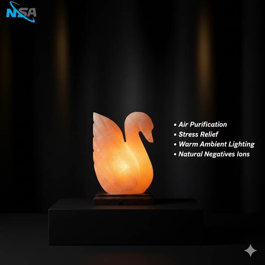 NSA Duck Himalayan Salt Lamp – Original Rock Salt Lamp for Home Decor & Healing