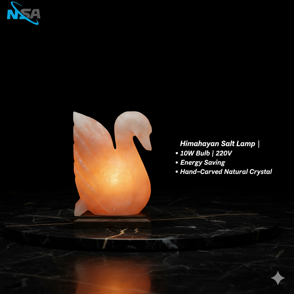 NSA Duck Himalayan Salt Lamp – Original Rock Salt Lamp for Home Decor & Healing