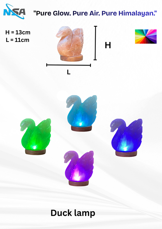 NSA USB Himalayan Salt Lamp – Color Changing LED | Natural Rock – Model: [Duck]