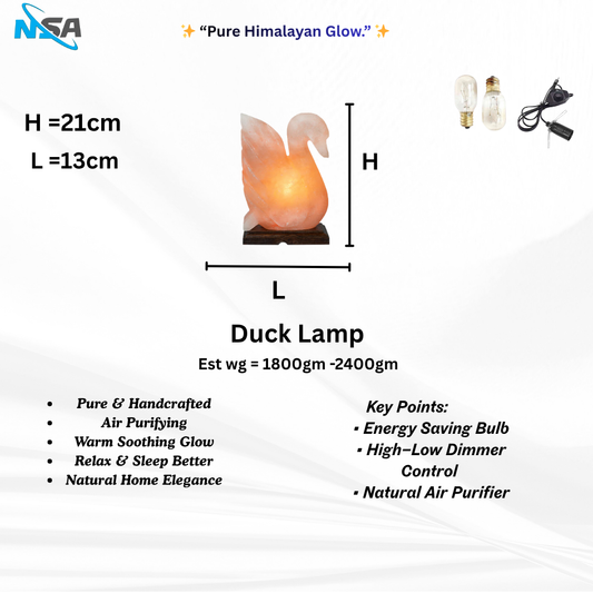 NSA Duck  Himalayan Salt Lamp – Original Rock Salt Lamp for Home Decor & Healing